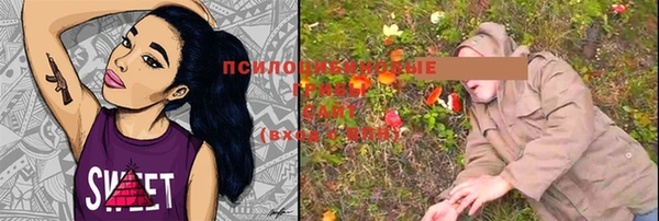 мяу мяу мука Абинск