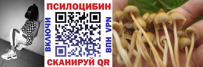 Галлюциногенные грибы Psilocybine cubensis  закладка  Агидель 